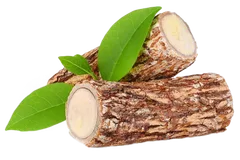 THANAKHA EXTRACT